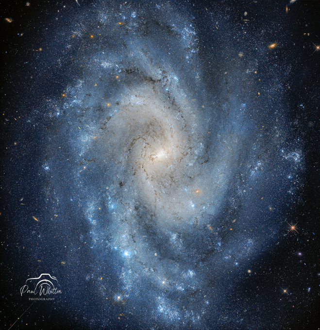 NGC_5584